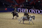 Quadrille - 00782